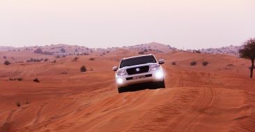 desert safari
